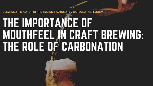 The Importance of Mouthfeel in Craft Brewing: The Role of Carbonation