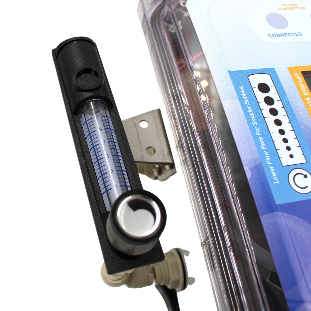 The FizzWizz - Bubbles Anywhere Edition