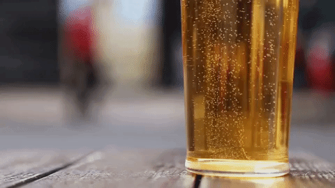 fizzwizz brewwizz carbonate beer kombucha cider